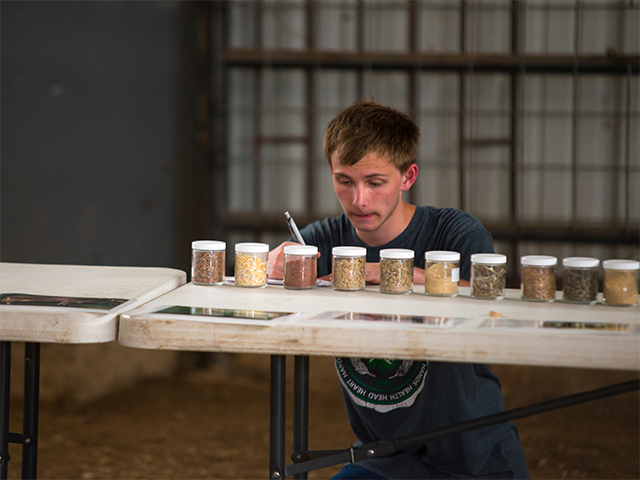 Boy judging seeds