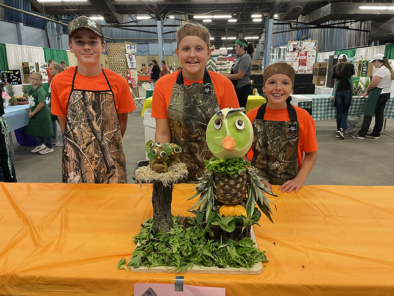 Fruit Sculpting Cotton County Intermediate Champion